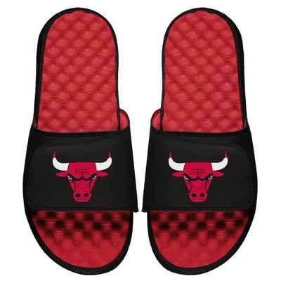 iSlides - The #1 slide